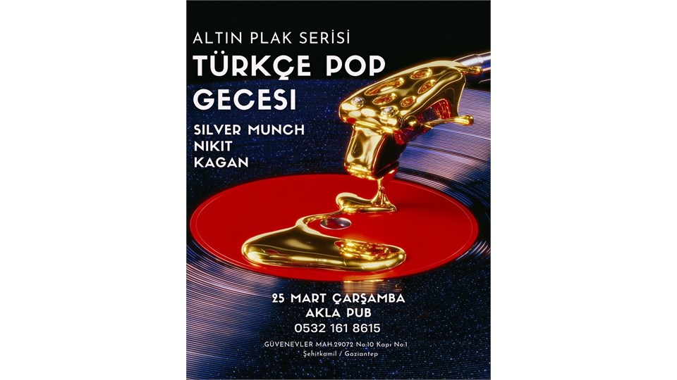 Altın Plak Serisi Türkçe Pop Gecesi
