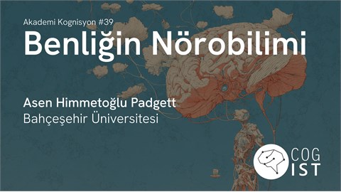 Benliğin Nörobilimi - Asena Himmetoğlu Padgett