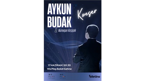 Aykun Budak