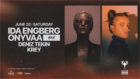 Ida Engberg b2b ONYVAA | Klein Phönix