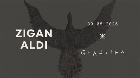 Qualista X Zigan Aldi
