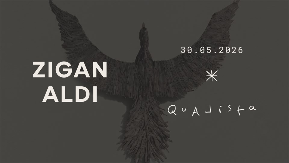 Qualista X Zigan Aldi