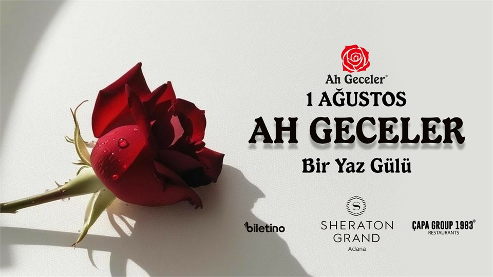 AH GECELER: BİR YAZ GÜLÜ