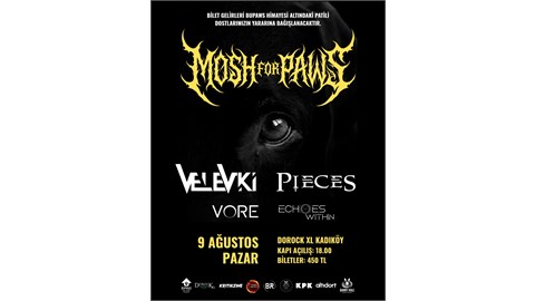 Mosh for Paws! 