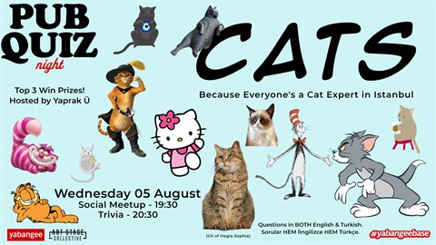 Pub Quiz on Cats: Questions in English & Turkish