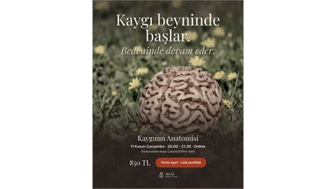 KAYGININ ANATOMİSİ  Bilimle Anlamak • Bedenle Yatıştırmak • Online Farkındalık Atölyesi