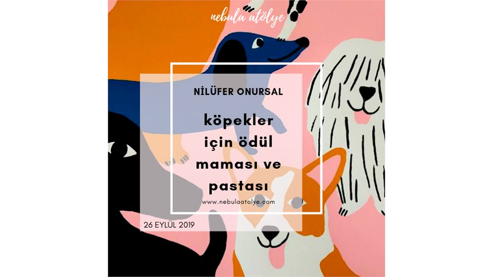 Nilüfer Onursal ile Köpeklerimiz için Ödül Maması ve Doğum Günü Pastası