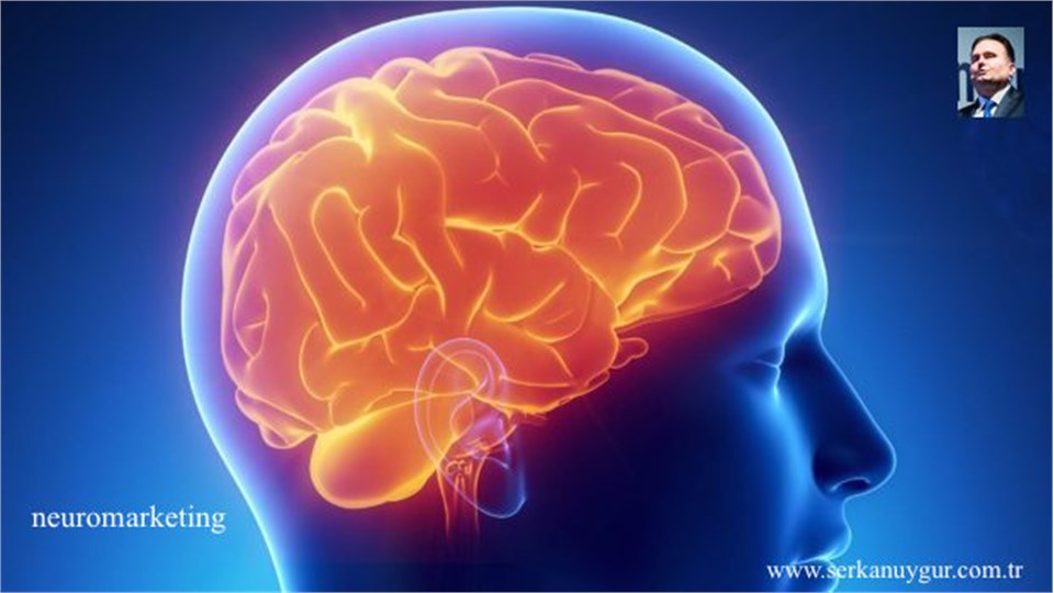 İnovasyon Odaklı Neuromarketing Eğitimi