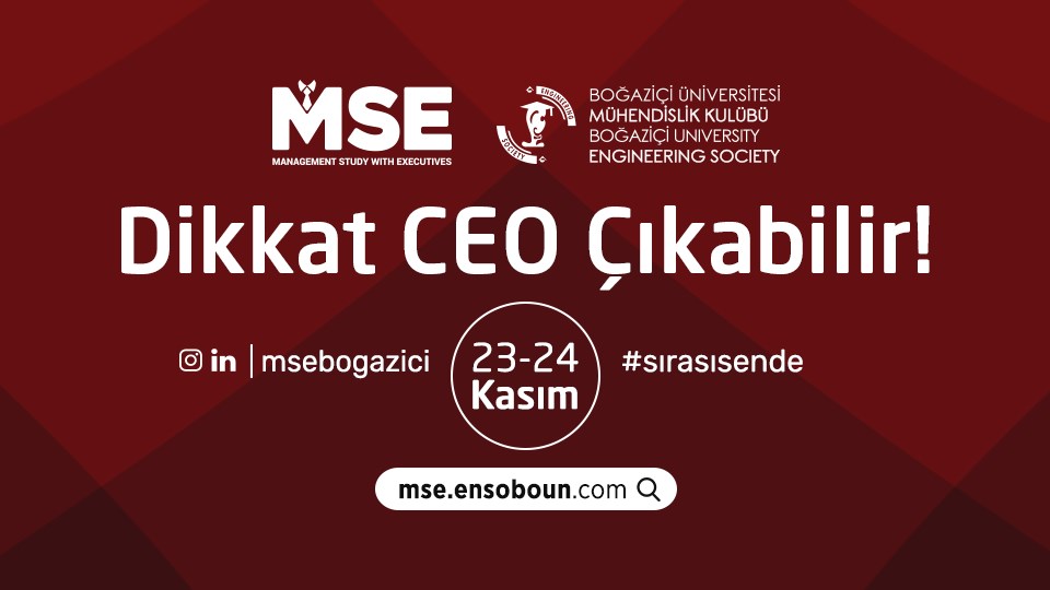 Management Study with Executives (MSE)