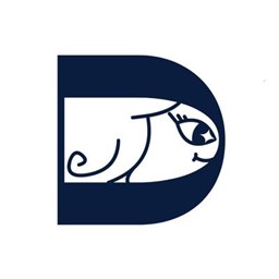 Diva: Dive into AI Conference