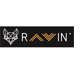 Ravin Group