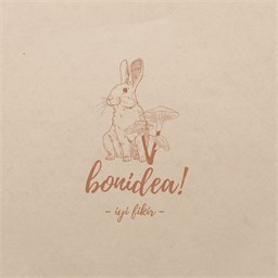 Bonidea Co