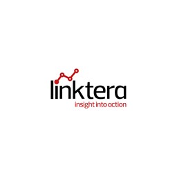 Link Tera Bilgi Teknolojileri A.Ş.